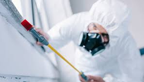 Emergency Pest Control Services in Hasbrouck Heights, NJ